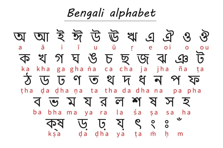 वेक्टर bengali alphabet chart with romanized transliteration for learning