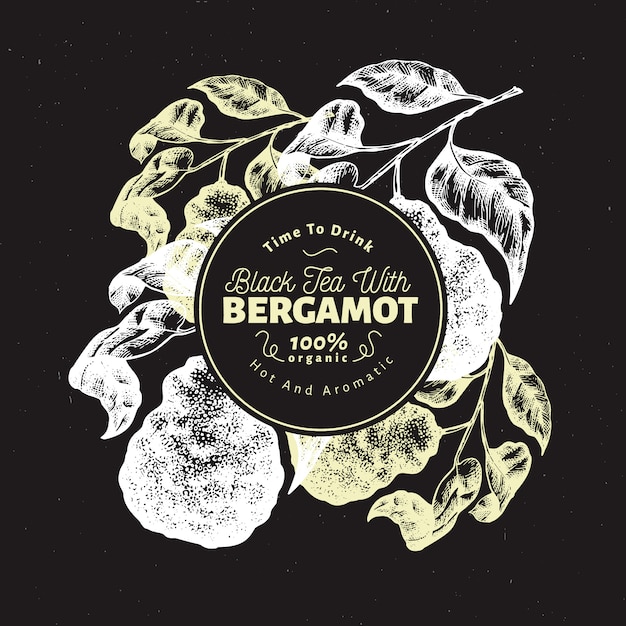 Bergamot branch design template.