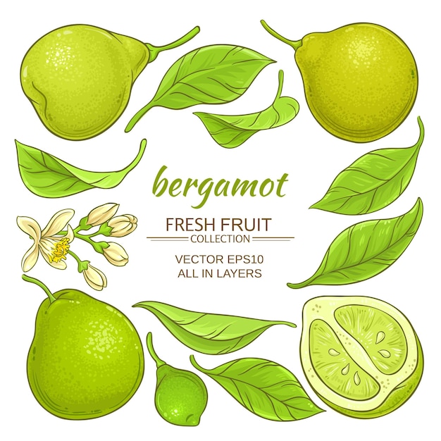 Bergamot elementen instellen