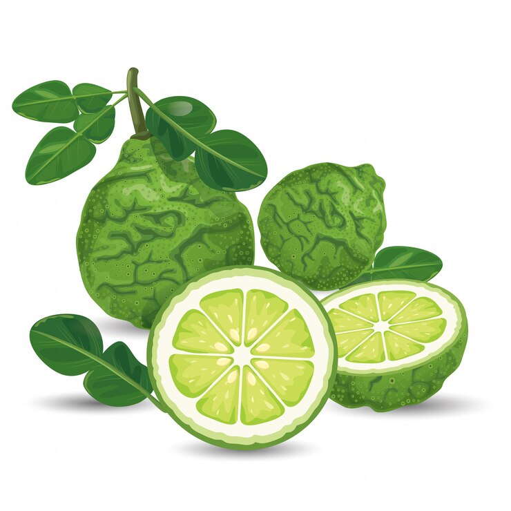 Bergamot Green Fresh