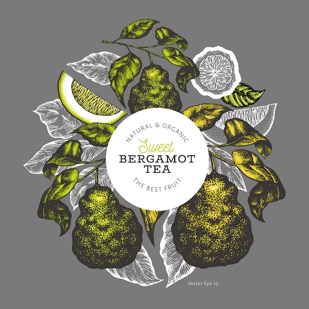 Bergamot tak ontwerpsjabloon.