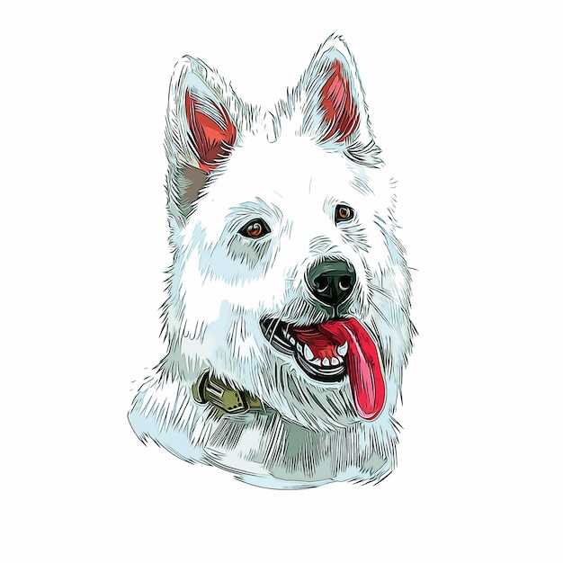 Berger Blanc Suisse hondenras aquarel schets Hand getekende verf illustratie