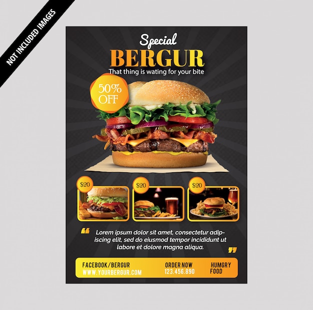 Bergur Brochure