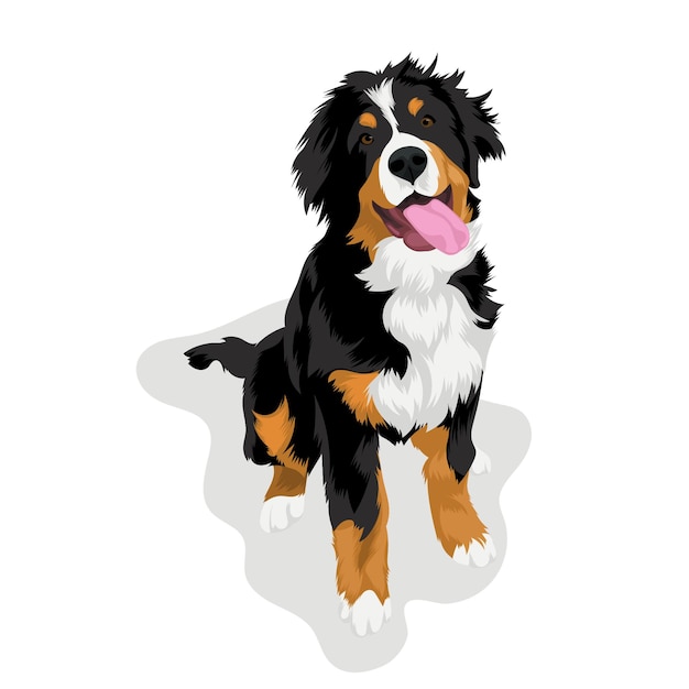 Vector bernese mountain dog cartoon vector