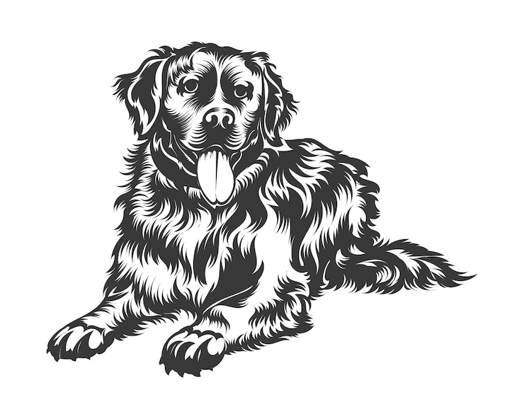 Vector bernese mountain dog vector illustration, dog vector black on white background
