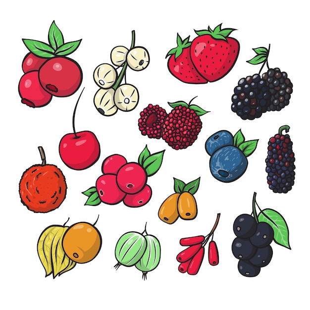 Vettore bacche frutta fresca nutrizione sana disegnato a mano doodle illustrazione natura