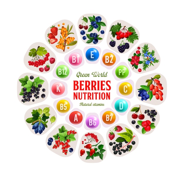 Vector berries and fruits rich of vitamins and minerals