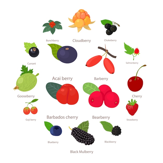 Berries icons set, cartoon style