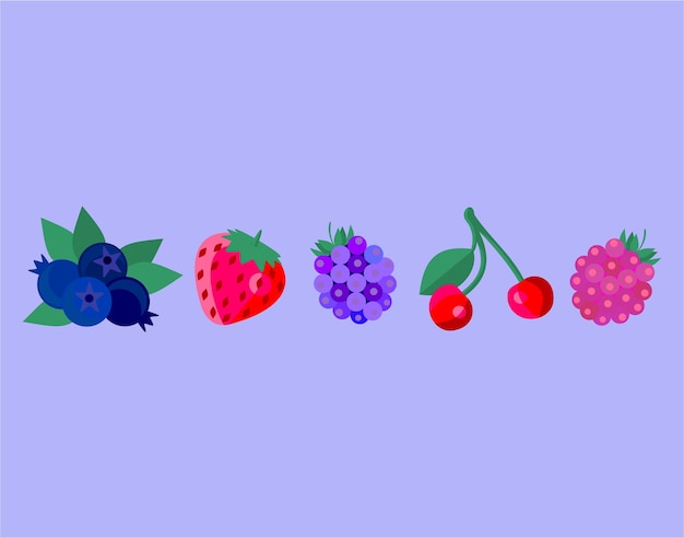 Berries illustration