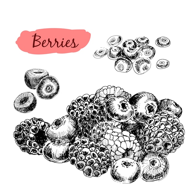 Berries. Set of illustrations