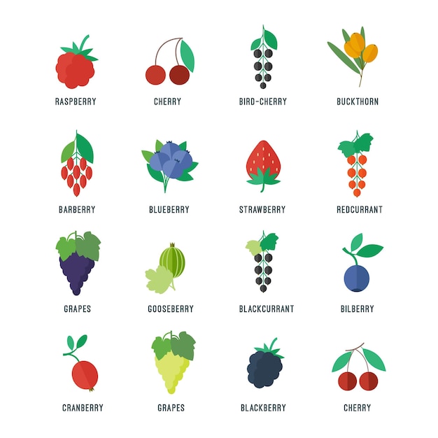 Berries set of vector objects for web and apps design in flat style