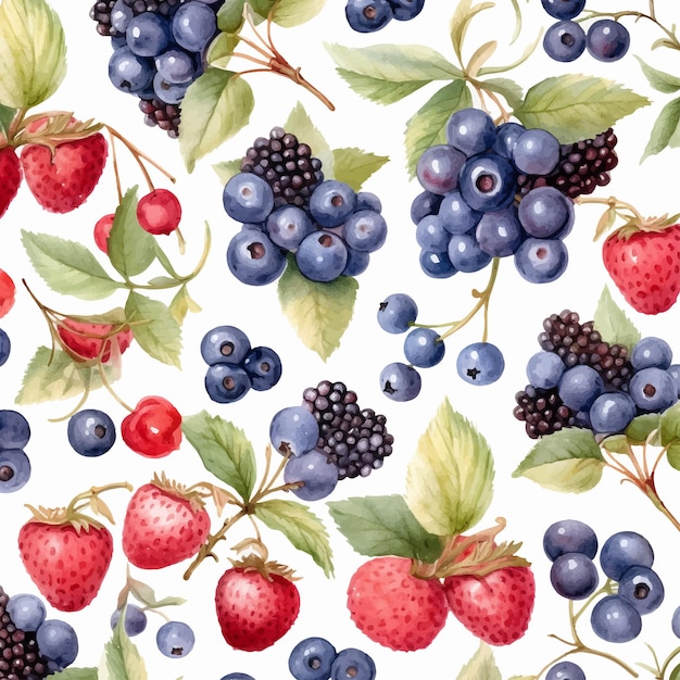 berries watercolor background