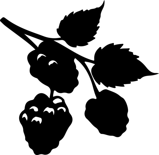 berry black silhouette with transparent background