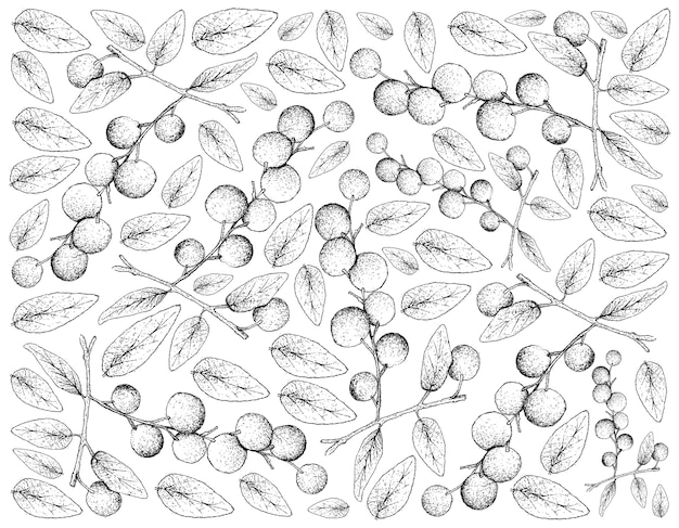 Berry fruits illustration wallpaper of hand drawn sketch