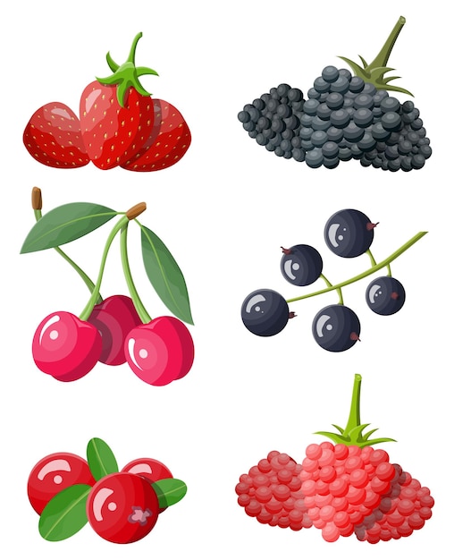 Berry icon set geïsoleerd op wit