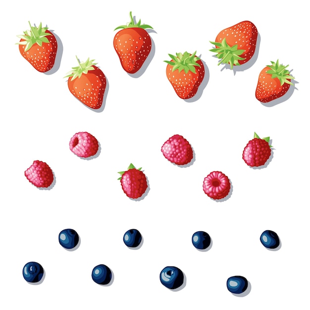 Berry set. various berries lying on a white background. bright different fresh berries.  illustration