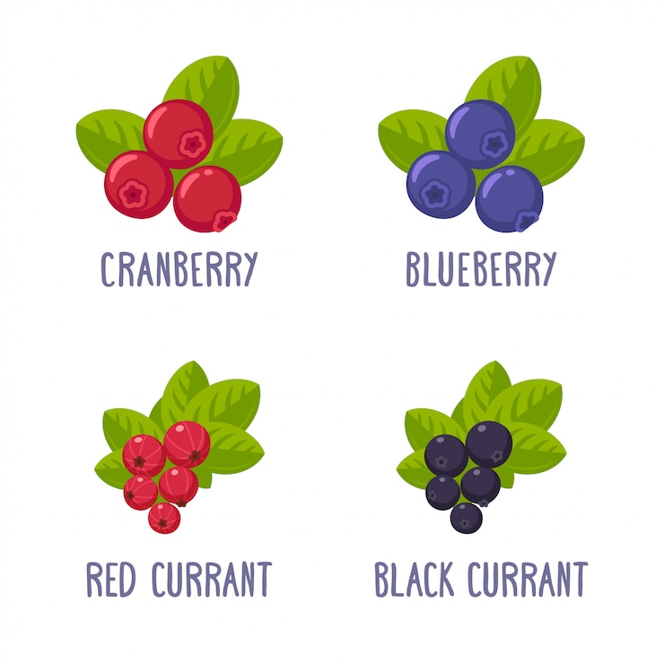 Vector bessen fruit set