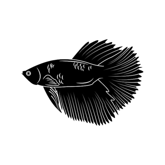 Vector betta fish icon