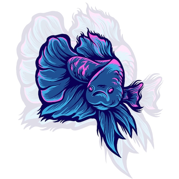 Vector betta fish illustration