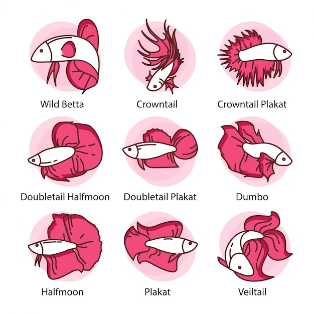 Betta fish-pictogram