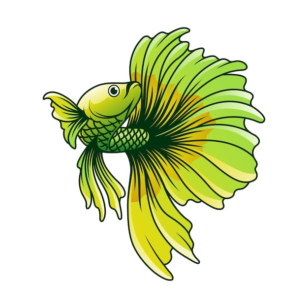 Vector betta fish vector illustration