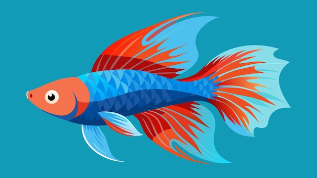 Vector bette fish vector illustration for your design needs