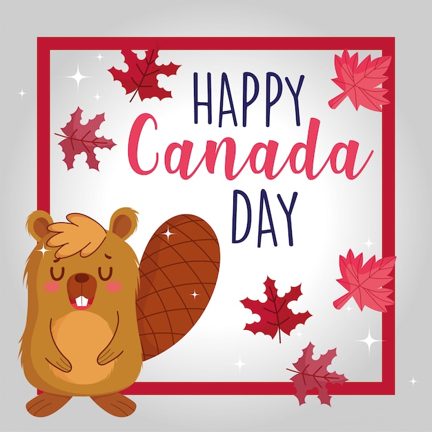 Vector bever met bladeren van de kader de canadese esdoorn van gelukkige canada dag
