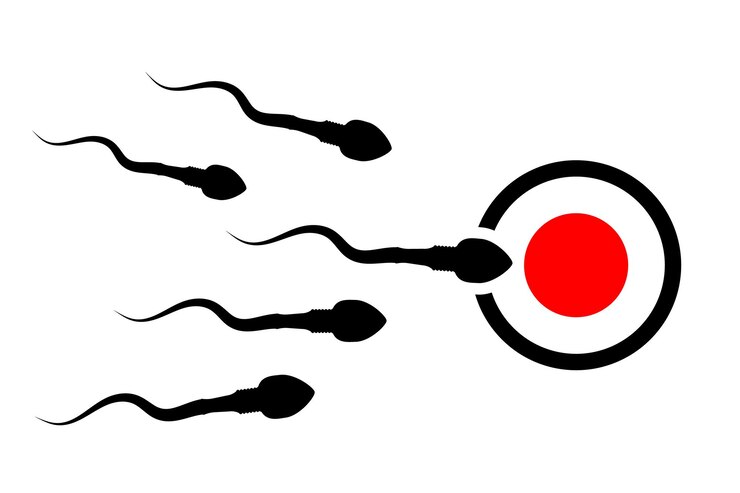 Vector bevruchting van een eicel met een zaadcel. de leider van de zaadcel. sperma dat richting het ei loopt. achtergrond van bewegend sperma. vector illustratie