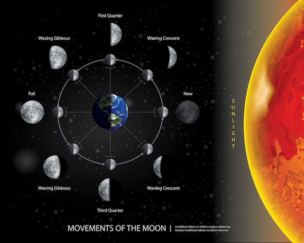 Vector bewegingen van de maan 8 maanfasen realistische vectorillustratie