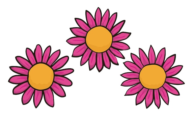 Bezet met drie mooie bloemen zoals madeliefjes met roze bloemblaadjes en oranje schijfbloemen erin