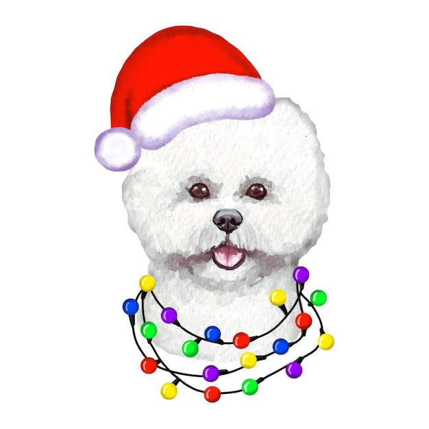 Собака бишон фризе с рождественскими огнями в шапке Санты. Милая рождественская иллюстрация щенка.