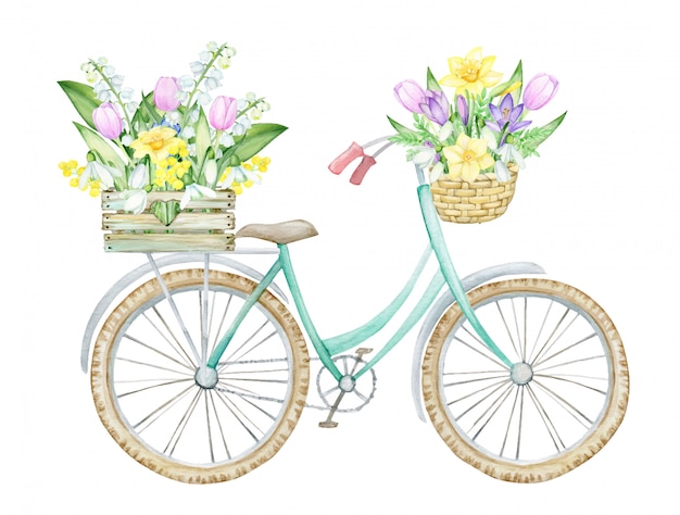 自転車、春の花のある木箱、枝編み細工品、花と葉のバスケット。春、孤立した背景、水彩画の概念。