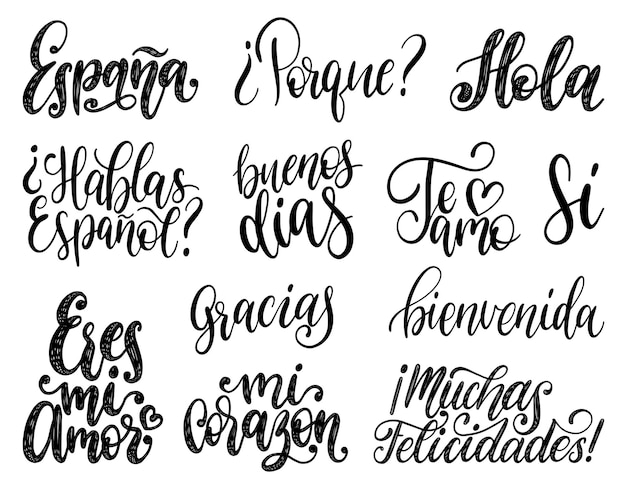 Bienvenida hola feliz cumpleanos gracias espana translated from spanish handwritten phrases welcome hello happy birthday thank you spain etc vector calligraphy set on white background