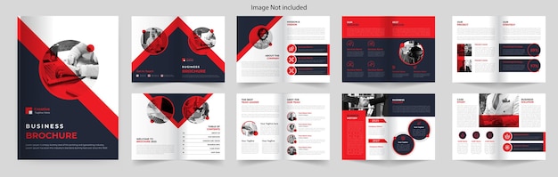 Vector bifold brochure design