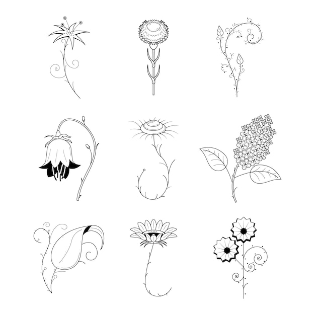 Big abstract set doodle elementi collezione disegnata a mano botanica flora di erbe foglia ramo vino fiore