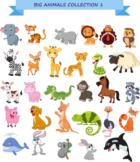 Vector big animals collection set