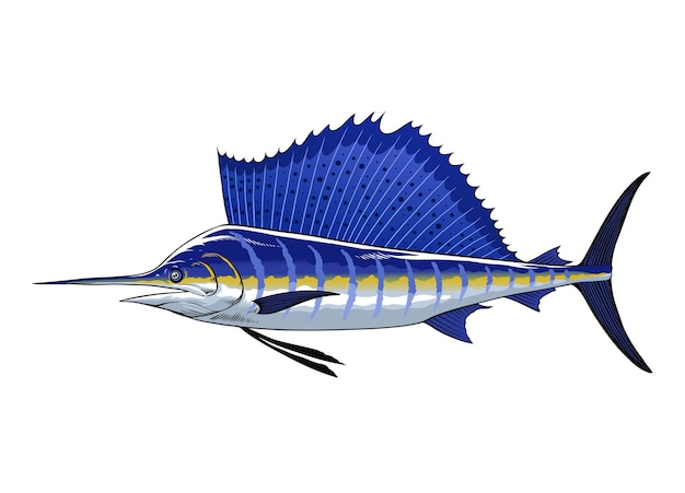 Vector big atlantic sailfish realistic illustration