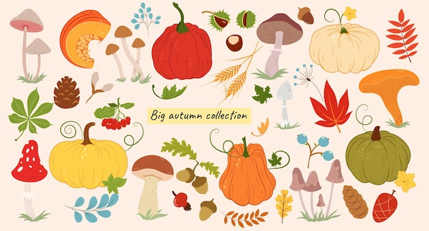 Большая осенняя коллекция с тыквой, листьями, ягодами, каштаном, грибами и желудями.