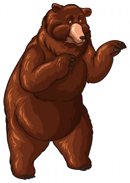 Vettore orso grosso con pelliccia marrone