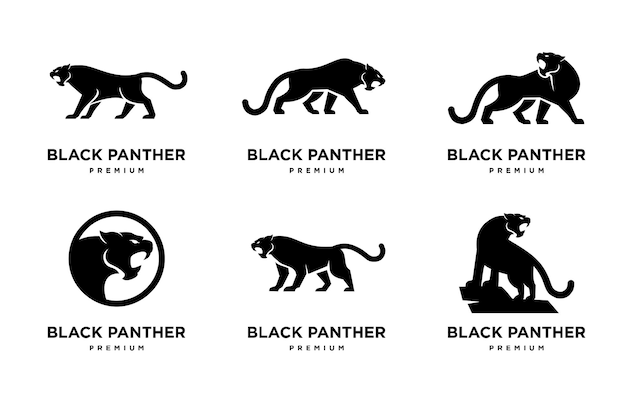 Big black panther illustration logo on white background