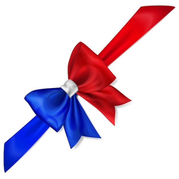 Big bow made of ribbon in France flag colors with shadow on white background