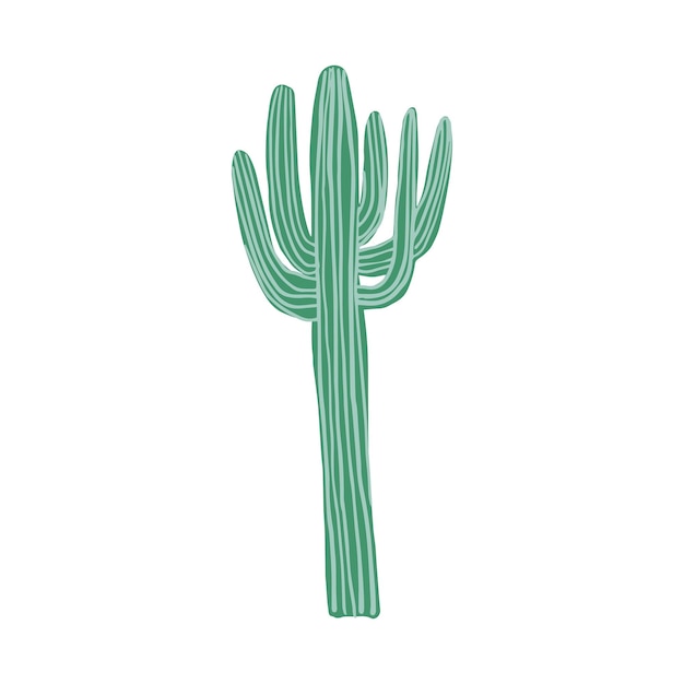 Большой кактус в стиле каракули Симпатичный колючий зеленый кактус Цветок кактуса изолирован на белом фоне