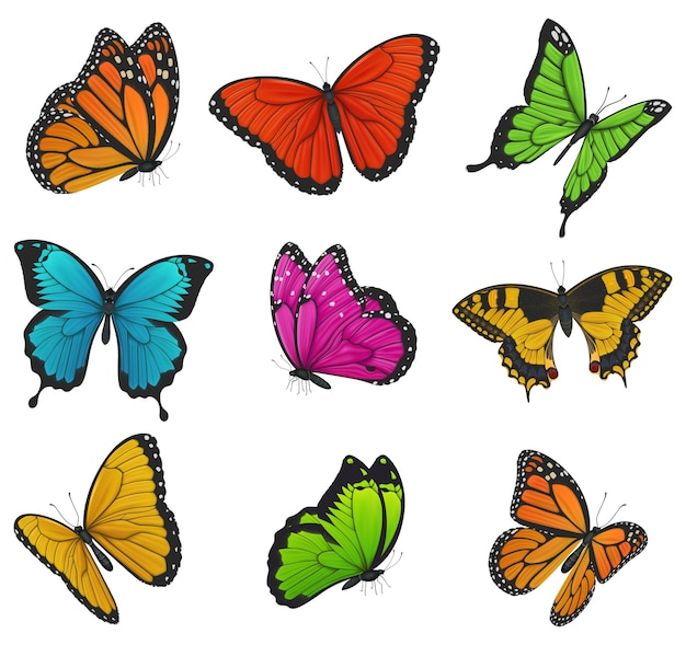 Vector big collection of colorful butterflies. illustration