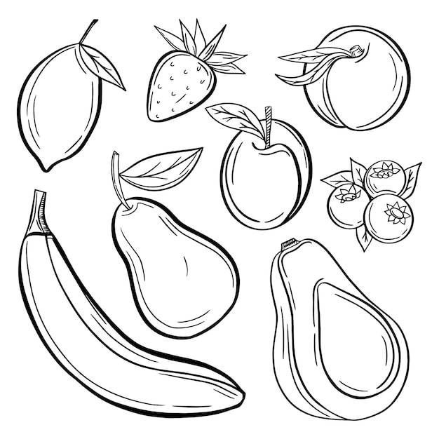 Big collection of fruits on white background Vector illustration for your design