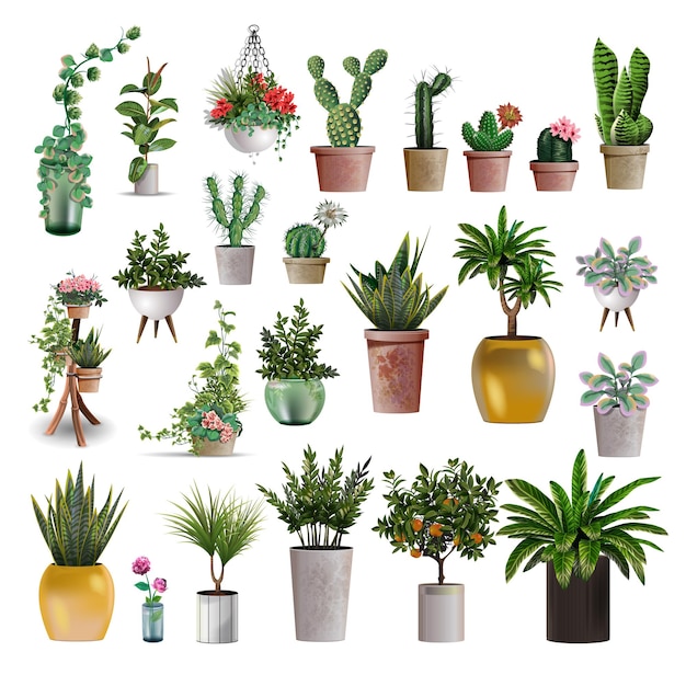 Vector big collection of plants.