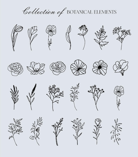 Vector big collection of realistic hand-drawn herbs and wildflowers. vector