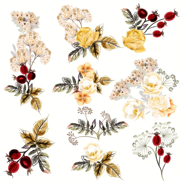 Vector big collection of vector realistic flowers in vintage style