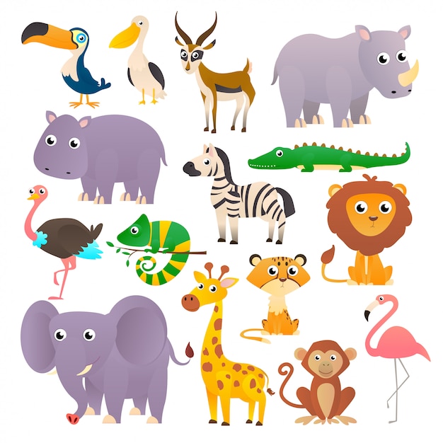 Big collection wild animals