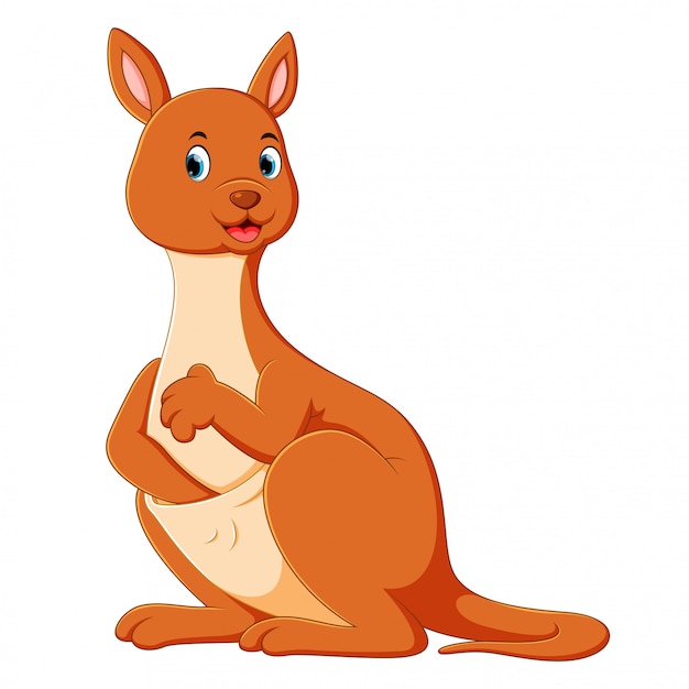 the big cute kangaroo 