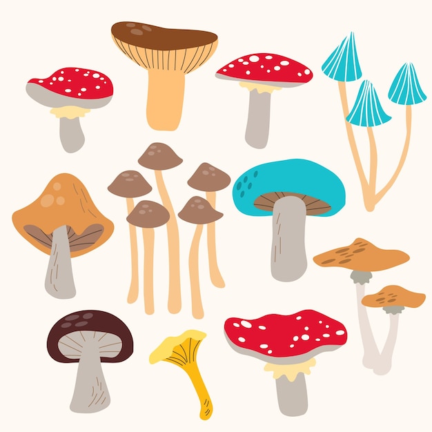 Big different mushrooms set edible and poisonous fungus collection with cep flyagaric toadstood slippery jack rufous milkcap chanterelle white mushroom boletus EPS